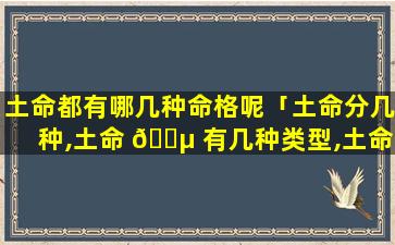 土命都有哪几种命格呢「土命分几种,土命 🌵 有几种类型,土命都有什么土」